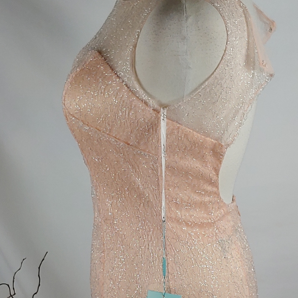 Fabuluxe limited edition pink prom formal fit&flare mini train gown sz XS NEW - Picture 4 of 10